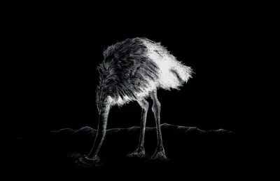 Don't be like an ostrich that sticks his head in the sand and ignores what is going on around him.