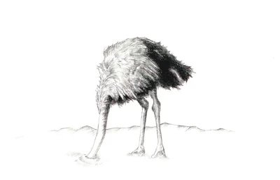 Don't be like an ostrich that sticks his head in the sand and ignores what is going on around him.