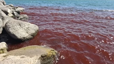 Sea of Galilee Turns Blood Red