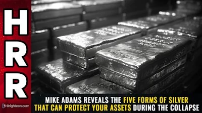 Mike Adams reveals the FIVE forms of silver that can protect your assets during the collapse - Watch