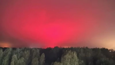 Tomato factory lights mistaken for 'lovely aurora'