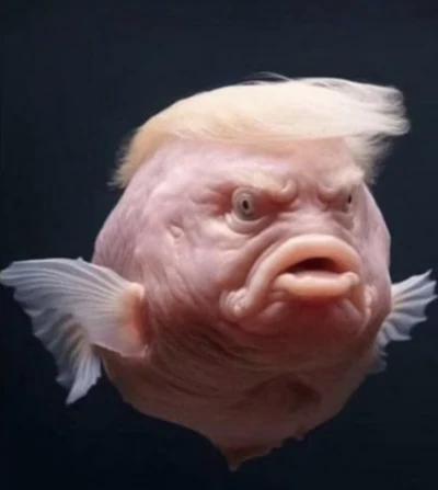Trump fish