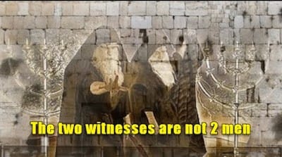 1716. The two witnesses and God's judgment on the internet