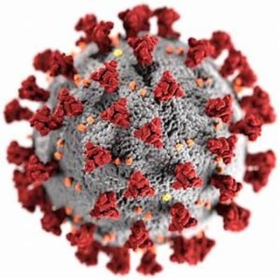 Coronavirus: The COVID Conspiracy