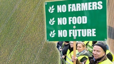 The War on Farmers - Watch