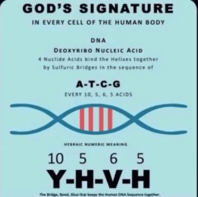 God's signature in every cell of the human body.