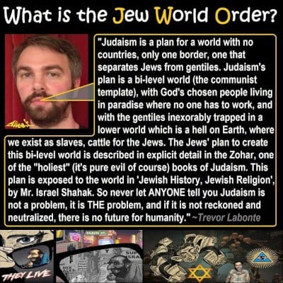What is the Jew world order?