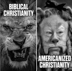 Biblical Christianity - Americanized Christianity