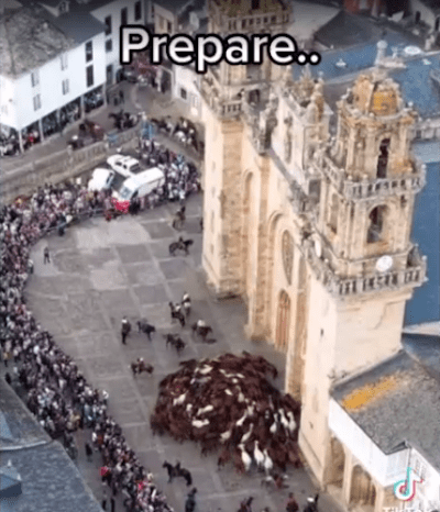 Animals moving in circles all around the world, it is the end time signs 2022 - Watch