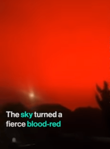 Viral Video: Mysterious Blood-Red Sky Causes Panic Among People In China's Zhoushan - Watch
