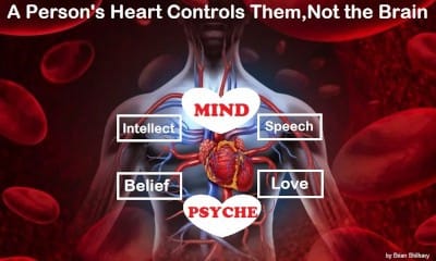 The Brain Myth: Your Intellect and Thoughts Originate in Your Heart, Not Your Brain