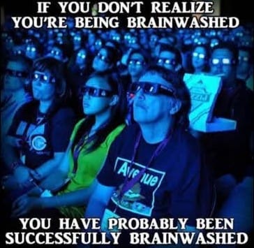 If you don't realize you're being brainwashed, you have have probably been successfully brainwashed.
