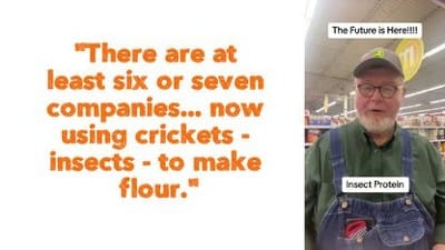 'There are at least six or seven companies... now using crickets - insects - to make flour.' - Watch