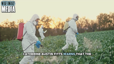 Catherine Austin Fitts : 'They are absolutely committed to depopulation.' - Watch
