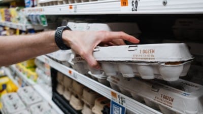 Australian Consumers Hit with Egg Limits as Half a Million Birds Culled