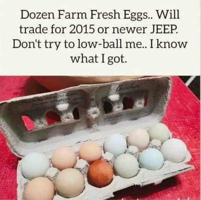 Scramble to Stock Up On These Egg Shortage Memes Mocking Globalist Food Crisis