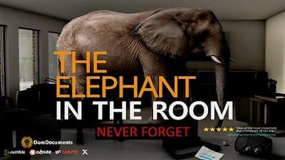 Elephant In The Room (Miscarriages) - Watch