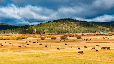 Engineered Famine: Oregon Starts Shutting Down Small Farms 'To Protect The People'