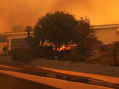 Apocalyptic Video Shows Two Men and Dog Surrounded by Blaze in Home - Watch