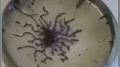 This is graphene oxide's reaction to 5G radio waves - Watch