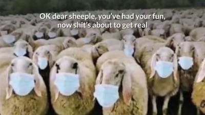 You Can't Handle The Truth - Watch