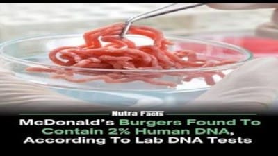 Evil: Human 'Meat' Used As A Filler In Burgers And Other Foods! - Watch