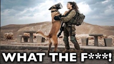Israel Is Doing WHAT To Dogs? - Watch