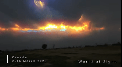 World of Signs: This Is the World Today. March 2026 Part.4