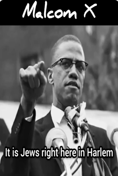 Malcom X : Listen carefully to his claims. NOTHING has changed - Watch