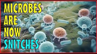 MICROBES are now SNITCHES - Watch