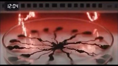 Watch What Happens When You Put Mold Under a WiFi Router for 24 Hours - Watch