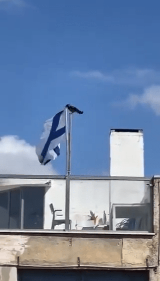 'Even the birds have had enough' - Watch