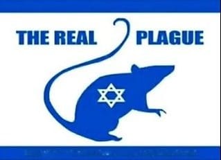 The Real Plague