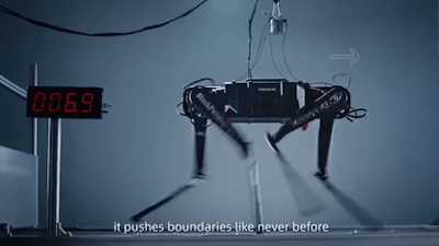 A Chinese Robotics Company Has Introduced a Robotic Dog Capable of Running 100 Meters in Under 10 Seconds - Watch