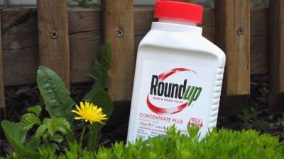 Victory Against Monsanto Achieved: Chemical Giant Forced to Pay Out Over $1.5 Billion in Roundup Verdict