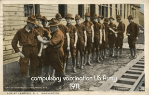Spanish Flu did not kill 50,000,000. Vaccines did - Watch