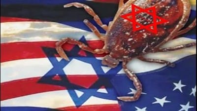 Jew tick sucking everything from the USA