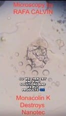 nano tech now floods the tooth industry... loaded in the food supply as well... be careful what you eat... - Watch