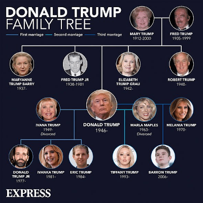 The Jewish Family Tree Of Donald Trump