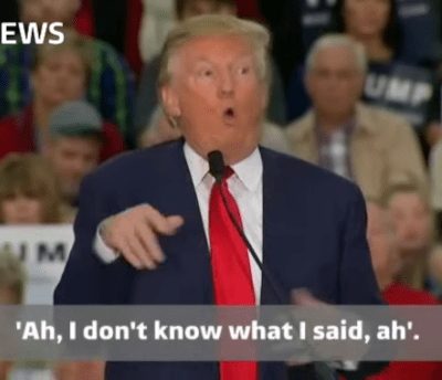 Donald Trump appears to mock a reporter's disability - Watch