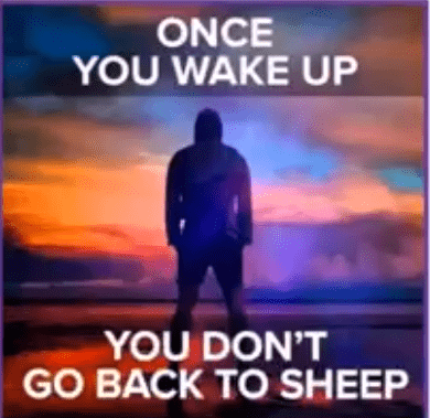 Once you wake up you don't go back to sheep