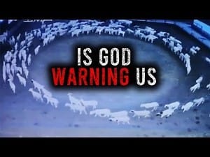 Animals Walking in Circles (End Times Warning?) | The Days of Noah | God Speaks Through Animals - Watch