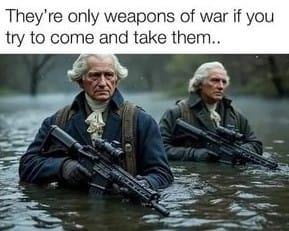 They're only weapons of war if you try to come and take them..