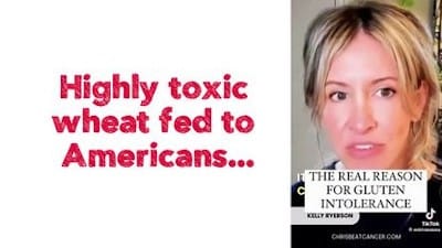 Highly toxic wheat fed to Americans... - Watch
