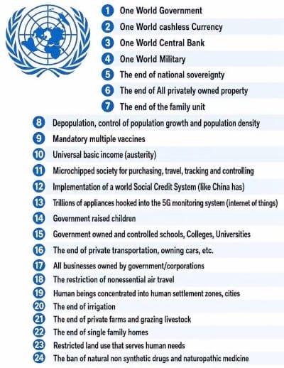 World (Jew) Government