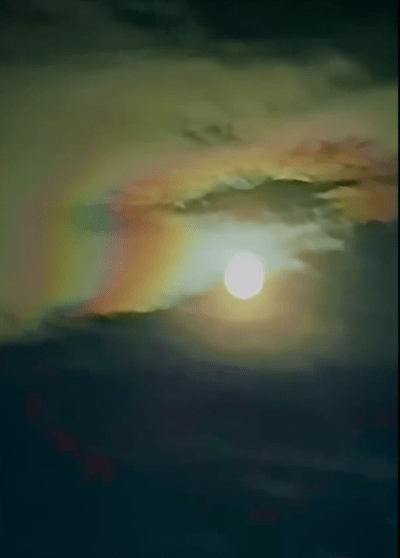 World of Signs - November 2025 - Watch