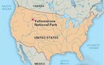 The animals are running away from Yellowstone. - Watch